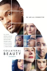 Collateral Beauty (Belleza oculta)