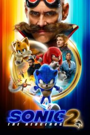 Sonic 2: La Película