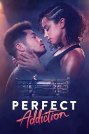 Adicción perfecta – Perfecta adicción