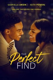 The Perfect Find – La combinación perfecta