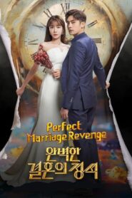 완벽한 결혼의 정석 – La venganza matrimonial perfecta – Perfect marriage revenge