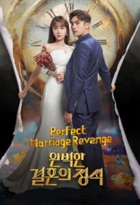 완벽한 결혼의 정석 – La venganza matrimonial perfecta – Perfect marriage revenge